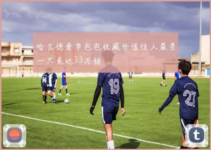哈兰德奢华包包收藏价值惊人最贵一只竟达33万镑